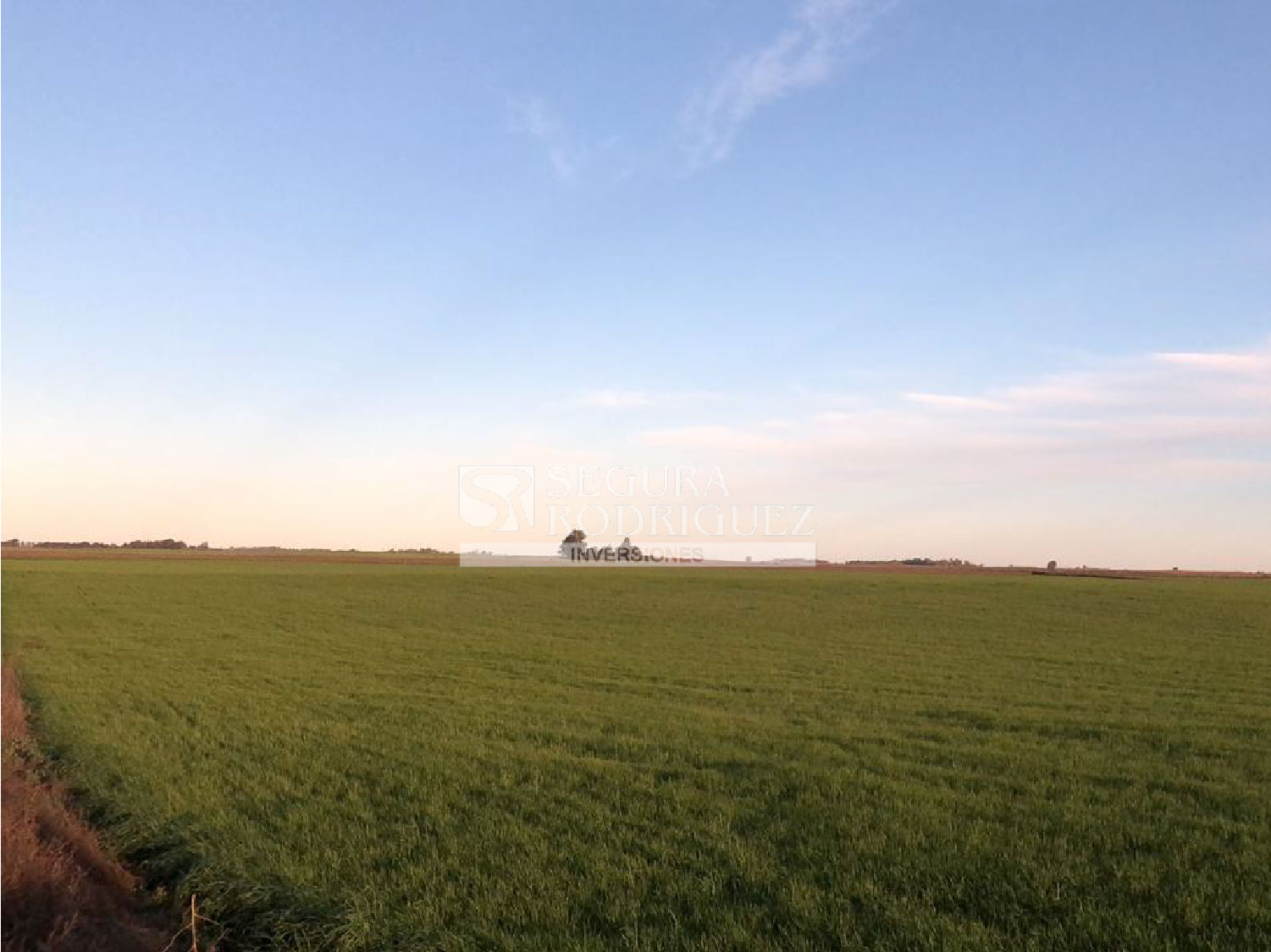 VENDE 20 HECTÁREAS EN MIGUEL CANÉ LA PAMPA SR Inversiones