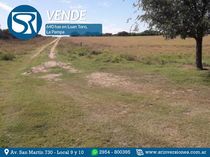 VENDE: CAMPO 640 HECTÁREAS EN LUAN TORO &#8211; LA PAMPA