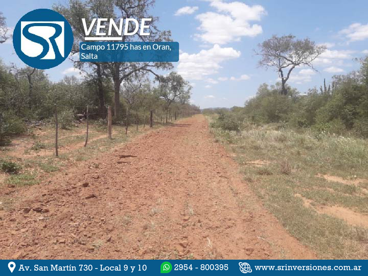 VENDE: CAMPO 11.795 HECTÁREAS EN ORAN &#8211; SALTA
