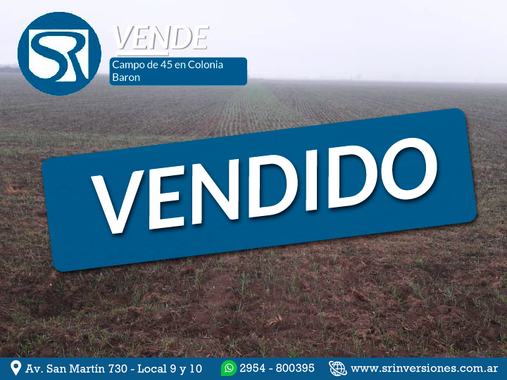 VENDE: CAMPO 118 HECTÁREAS EN TRES LOMAS &#8211; BUENOS AIRES