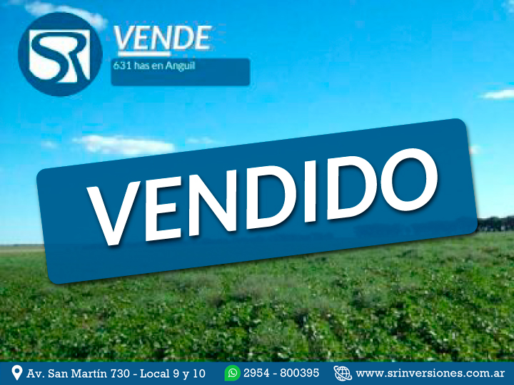 VENDE: 631 HECTÁREAS EN ANGUIL &#8211; LA PAMPA